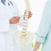 Doctor pointing anatomical spine